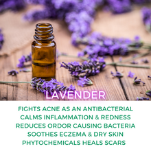 Load image into Gallery viewer, Shop  Lavender Shea Body Butter- GreenBody Wellness
